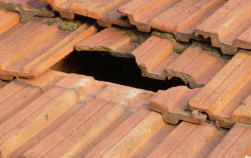 roof repair Dumpling Green, Norfolk