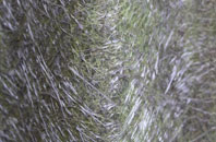 Dumpling Green fibreglass roof work